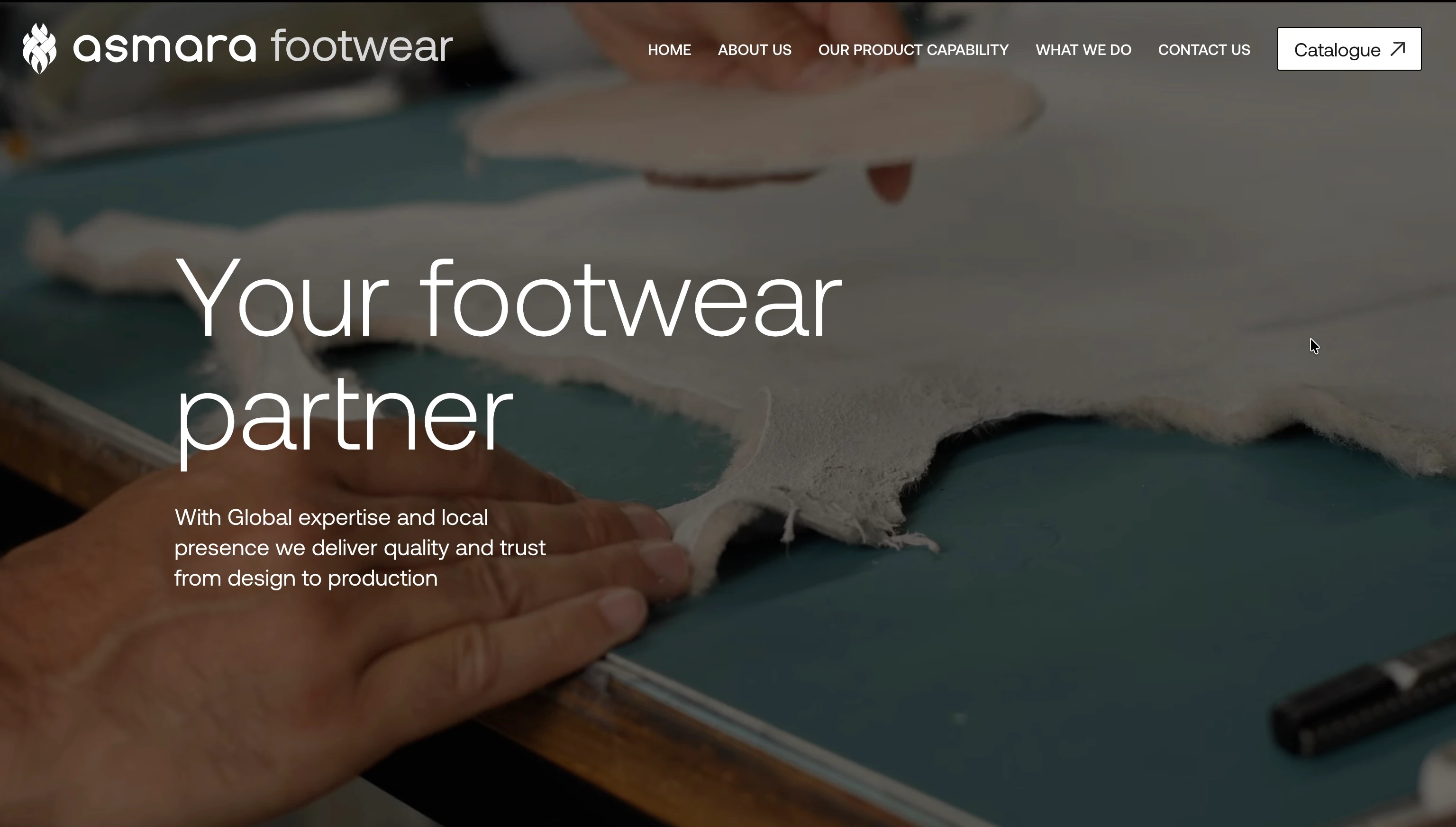 Imagen del proyecto Asmara Footwear